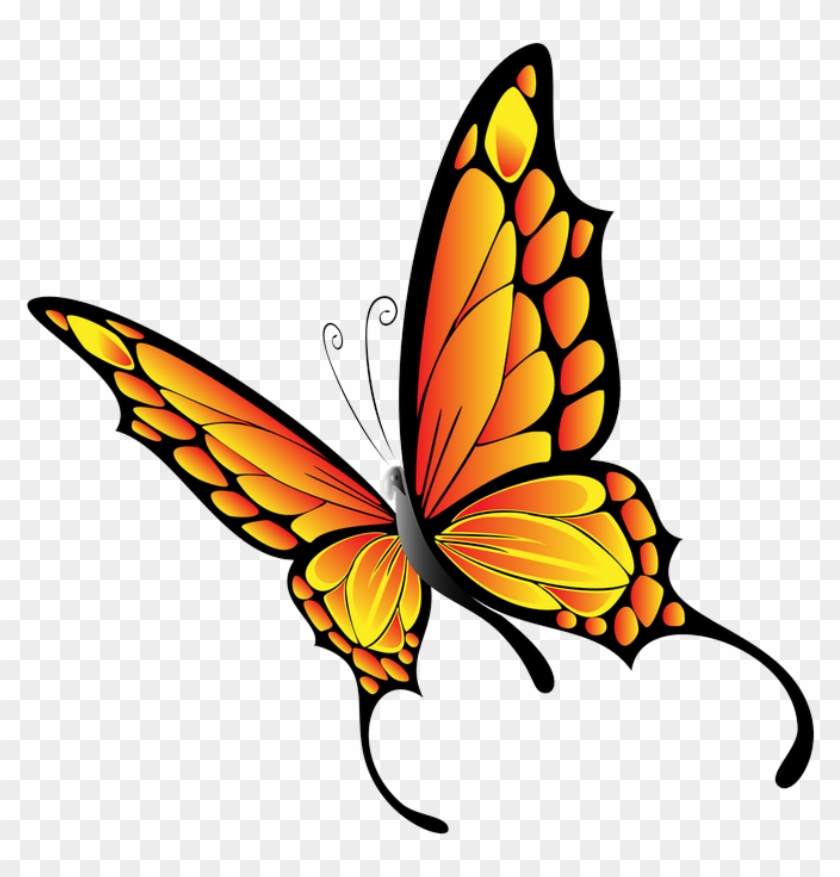 Clipart Butterfly - Vector Graphics #1171967