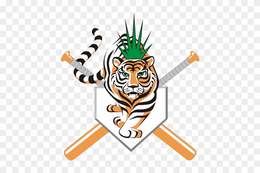 The Tigers Of Ciego De Ávila Are The New Cuban Baseball - Ciego De Avila Baseball #1171977