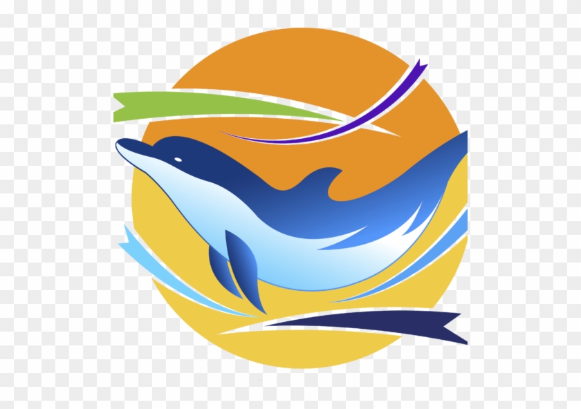 Vcy America #1172019