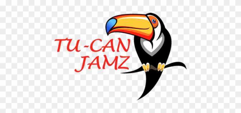 Back In My Days Of Being A Club Dj, One Of The Big - Vinyl Sticker Decals Tropical Bird Toucan Sports Bike #1172211