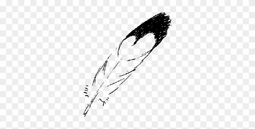 Drawn Feather Eagle Feather - Black And White Eagle Feather #1172221