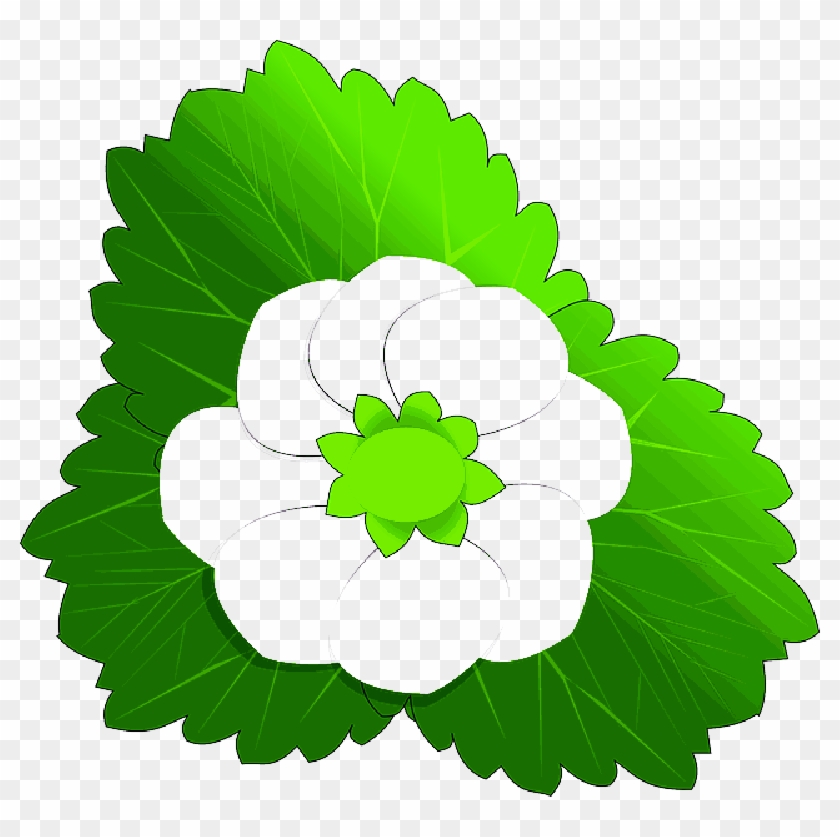 Cia - Flower Clip Art #1172274