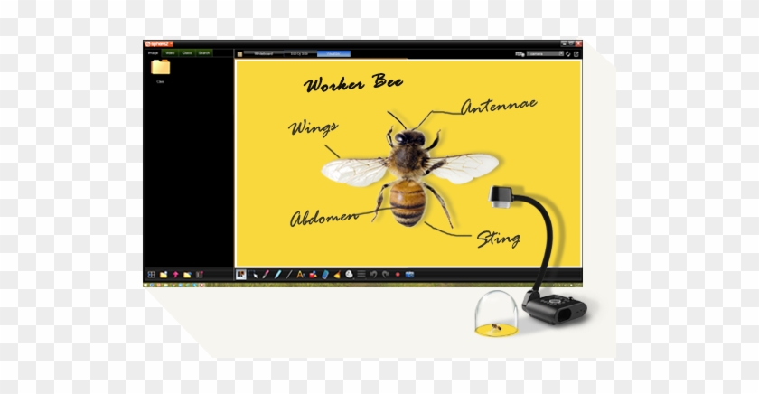 Just Plug In A Mouse To Carry Out Onboard Annotation - Flexible Arm Interactive Visualizer/document Camera #1172458