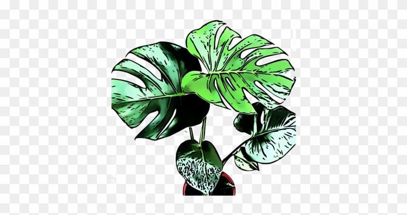 Let Them Live - Icon #1172562