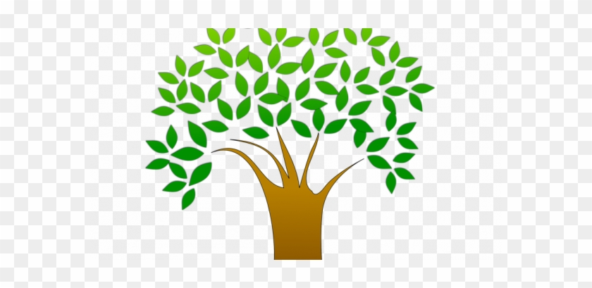 Better Image Of Tree Clipart Free Stock Photo Illustration - Tree Vector Image Png #1172697