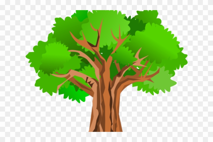 Thick Tree Cliparts - Tree Clipart Hd #1173233