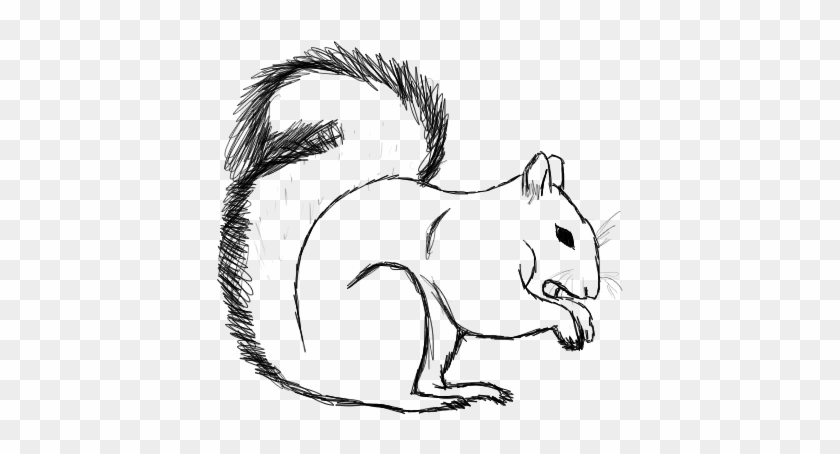 Group Work Clipart Download - Sketch Image Of Squirrel #1173305