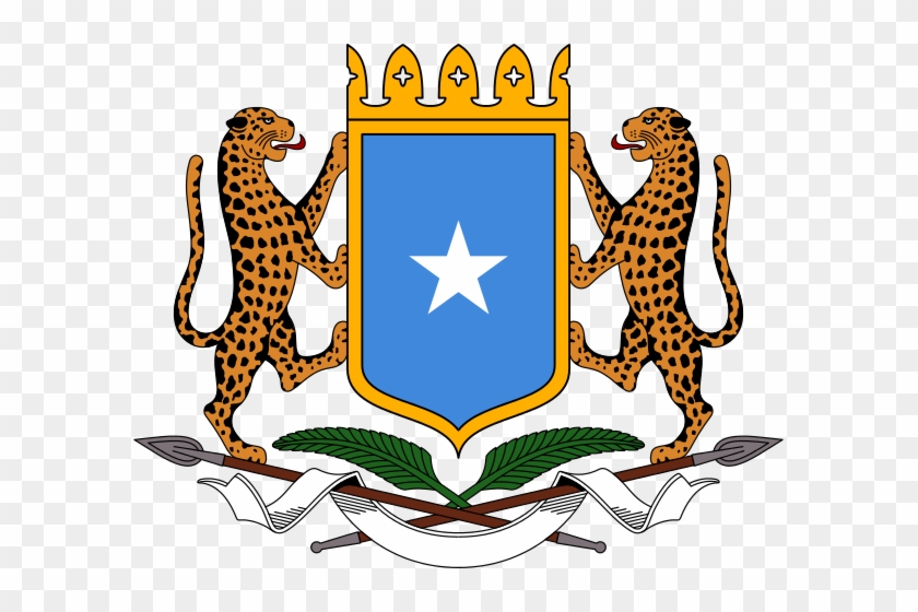 Somalia Urged To Enforce Sex Abuse Law After 16 Year - Somali Football Federation Logo #1174105