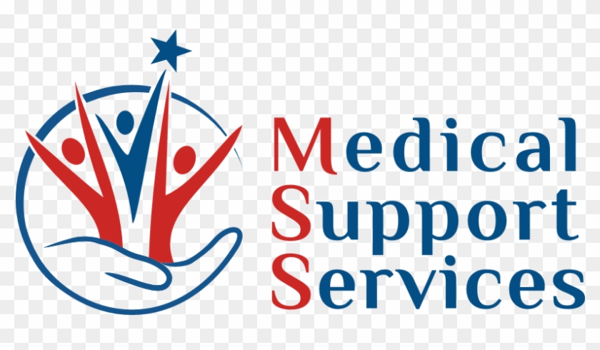 Medical Support Services Inc - Medical Support Services Inc #1174290