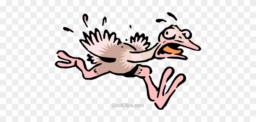 Cartoon Ostrich Royalty Free Vector Clip Art Illustration - Scared Eagle Clip Art #1174381