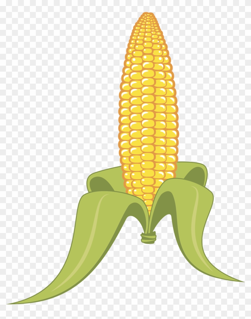 Corn - 夏 イラスト 夏 とうもろこし #1174631