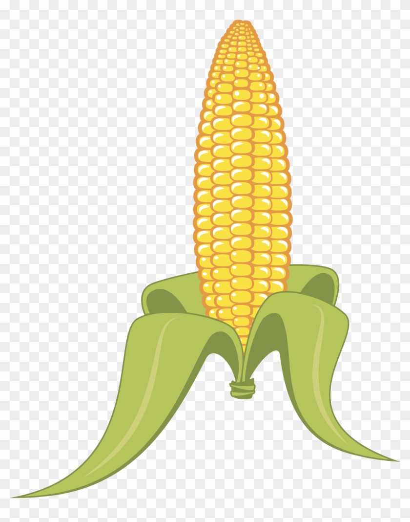 Corn 夏 イラスト 夏 とうもろこし Free Transparent Png Clipart