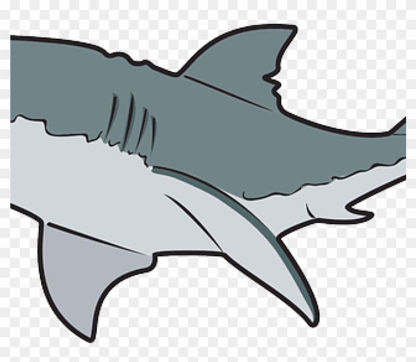 Free Shark Clipart Clipart Classroom Clipart - Great White Shark Mugs #1174965