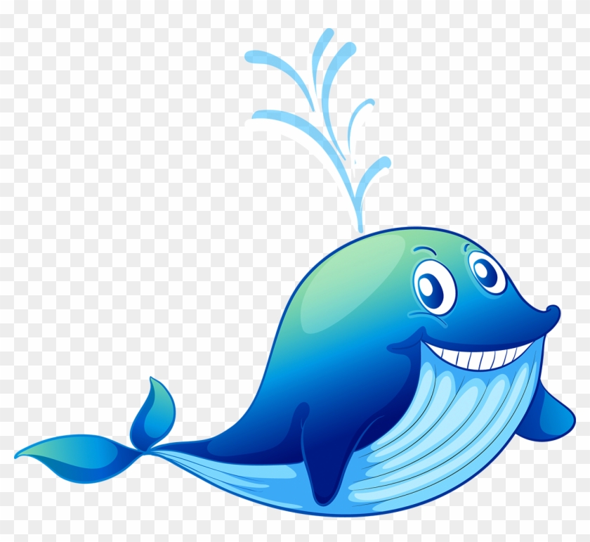 Shark Dolphin Blue Whale - Cetacea #1174971