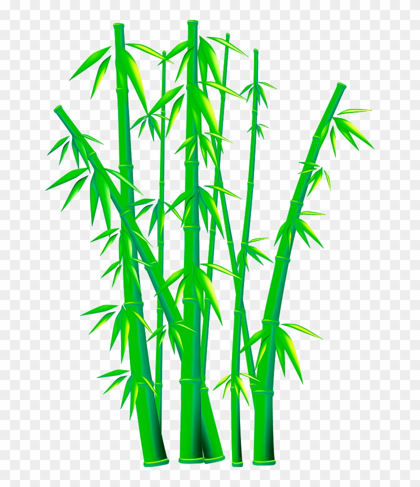 Bamboo Euclidean Vector Clip Art - Vector Bamboo Png #1175063