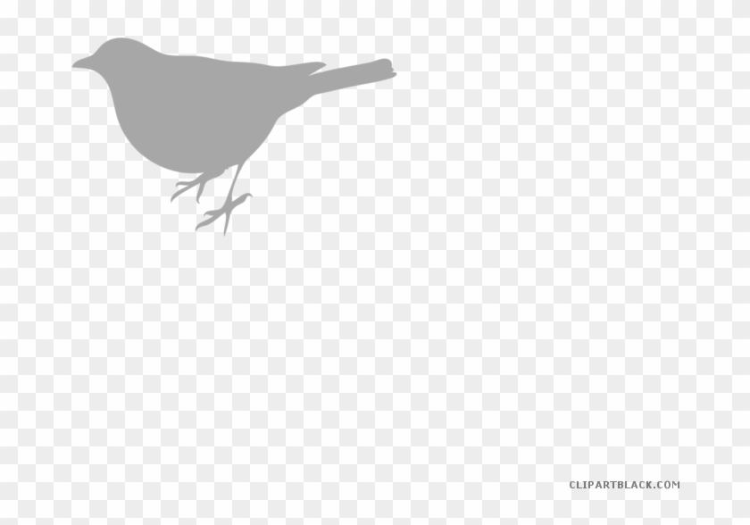 Teal Birds Animal Free Black White Clipart Images Clipartblack - Bird Silhouette Clip Art #1175145