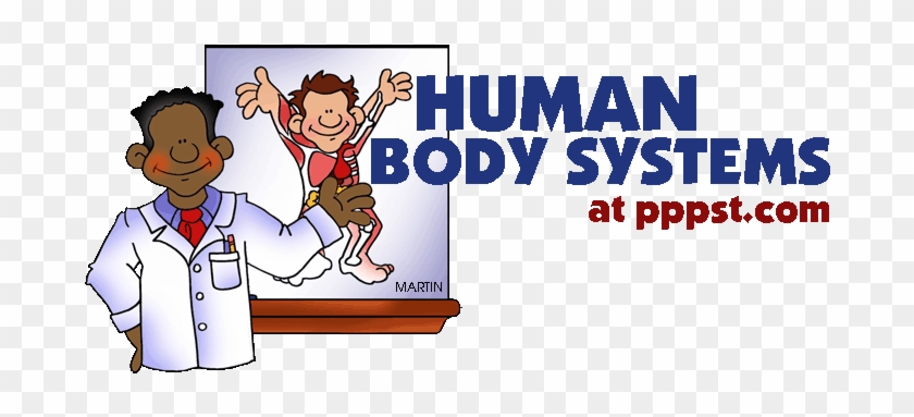 School Projects Of Human Body Systems For Kids 42kb - Human Body Systems Powerpoint #1175292