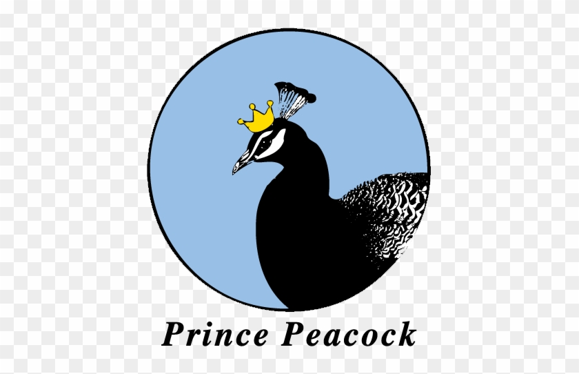 Prince Peacock - Ridgewood #1175428