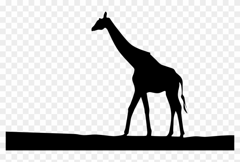 Medium Image - Giraffe Silhouette Clip Art #1175522