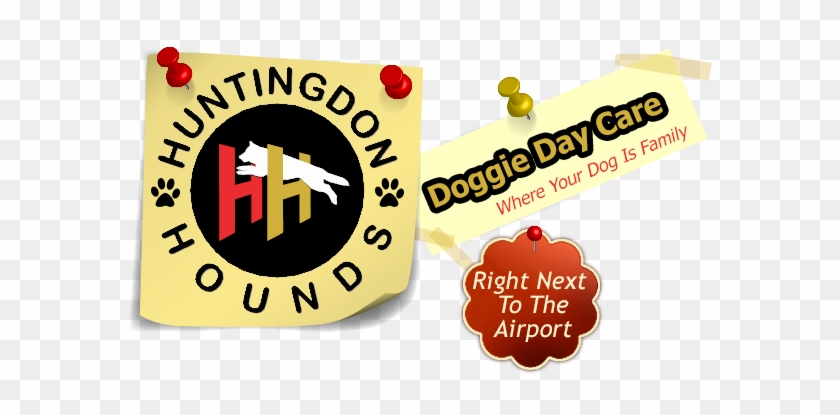 Huntingdon Hounds Doggy Day Care, Abbotsford, Dog Training, - Dog Daycare #1175669