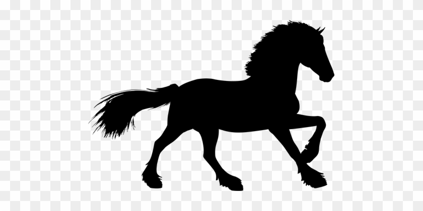 Stallion, Horse, Equine, Animal - Pixabay Pferd #1175998