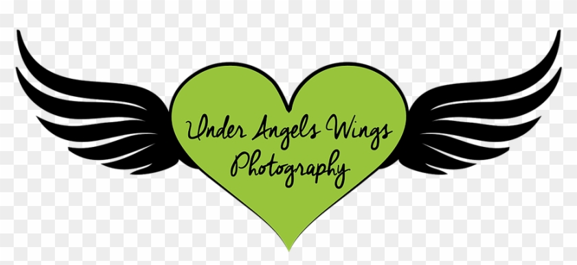 Under Angels Wings Photography - Heart #1176244