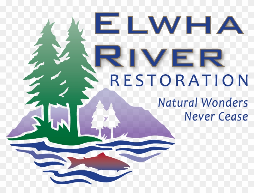 Elwha Tagline And Logo - Illustration #1176370