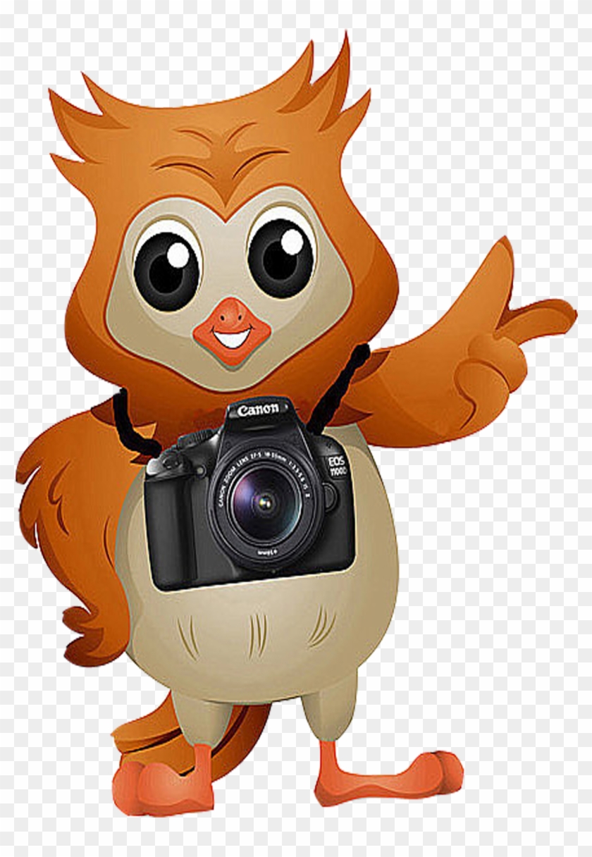 Camera Clipart Owl - Cartoon Owl With A Camera #1176518