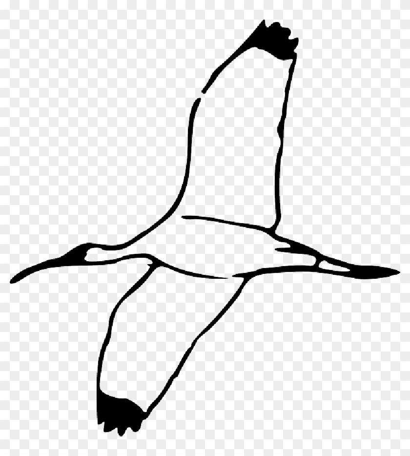 Drawing, Bird, Wing, Fly, Flying, Book, Wood, Wings - Cartoon Flying Ibis #1176588