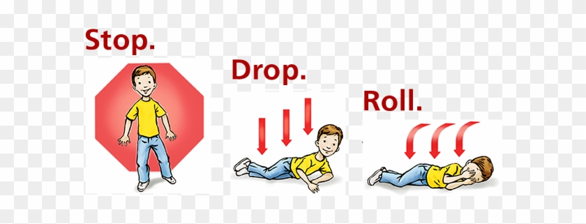 Stop - Stop Drop And Roll #1176599