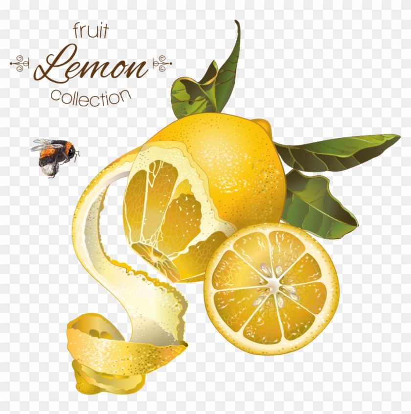 Lemon Fruit Illustration - Lessons From My Parents #1177061