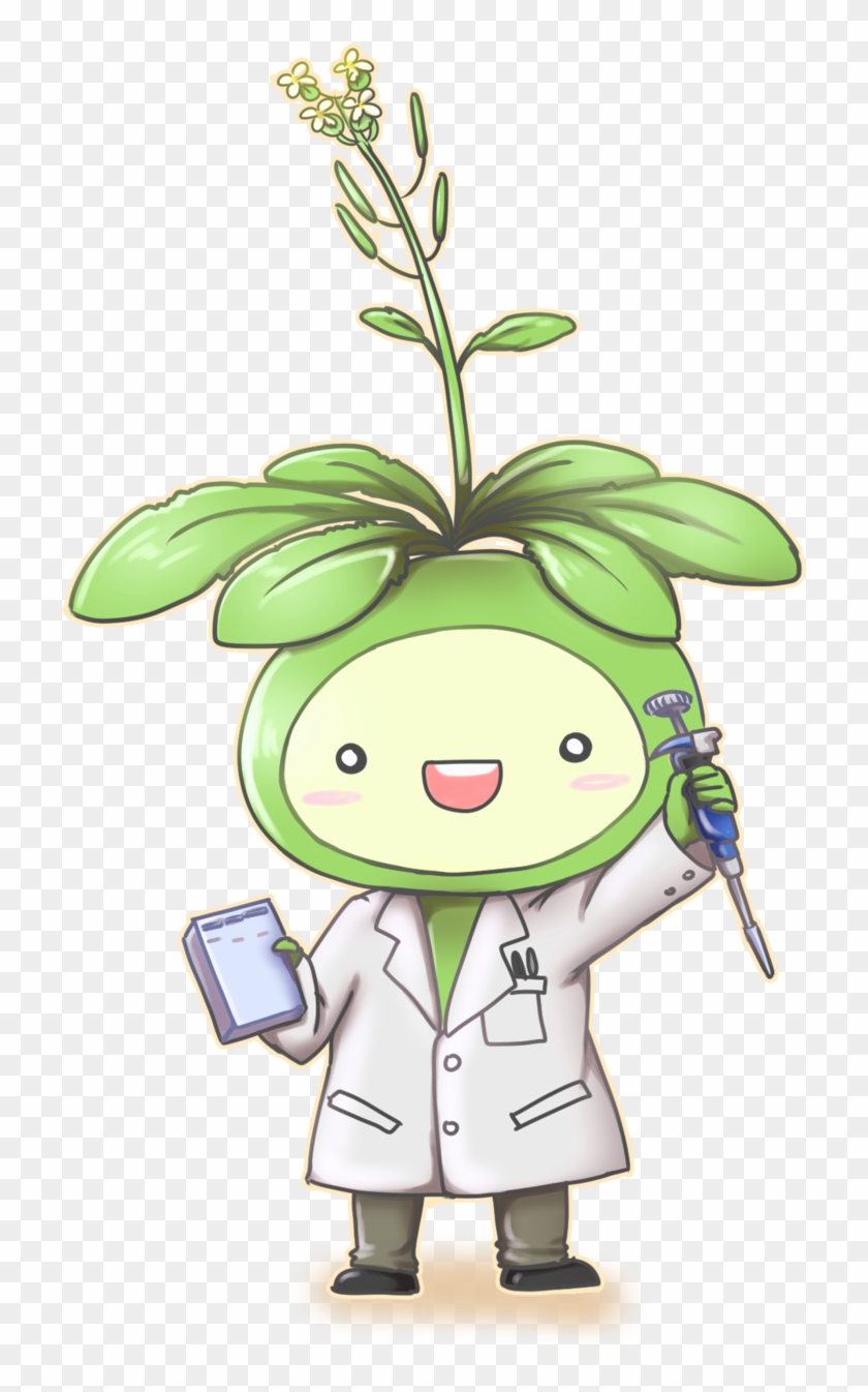 Arabidopsis Kun By Haeunee2 Arabidopsis Kun By Haeunee2 - Arabidopsis Thaliana Drawing #1177465