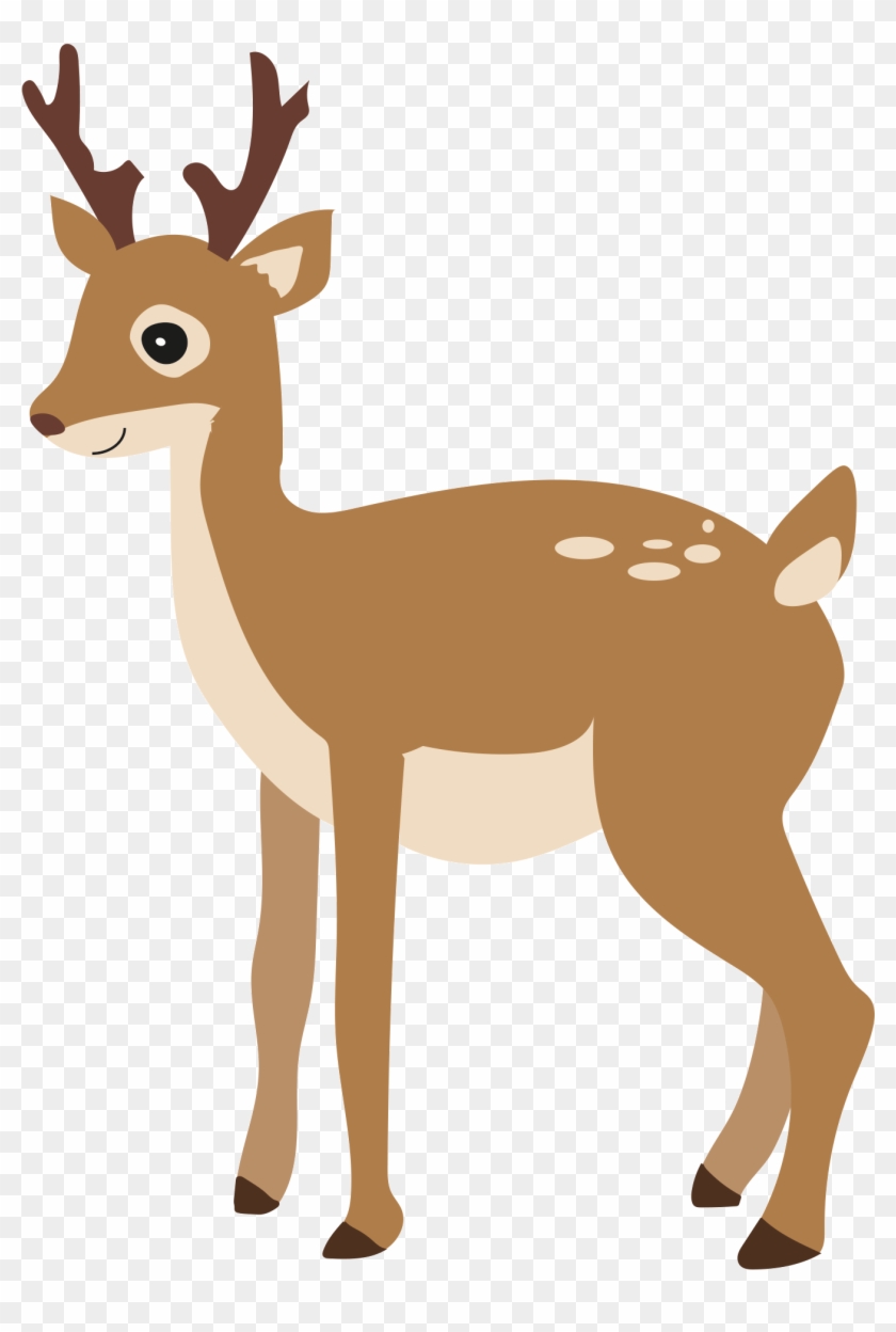 Holly Told Her Friend Dom All About The Leaf And He - White-tailed Deer #1178089