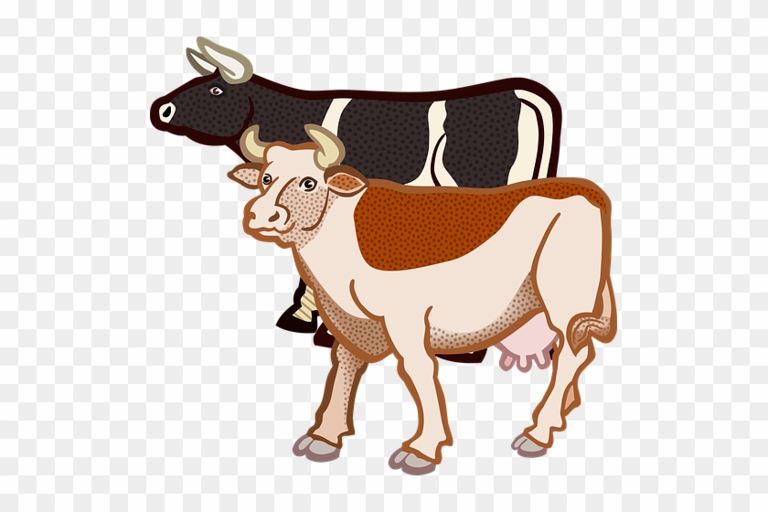 2018 Messages Sticker-10 - Cows Clipart #1178195