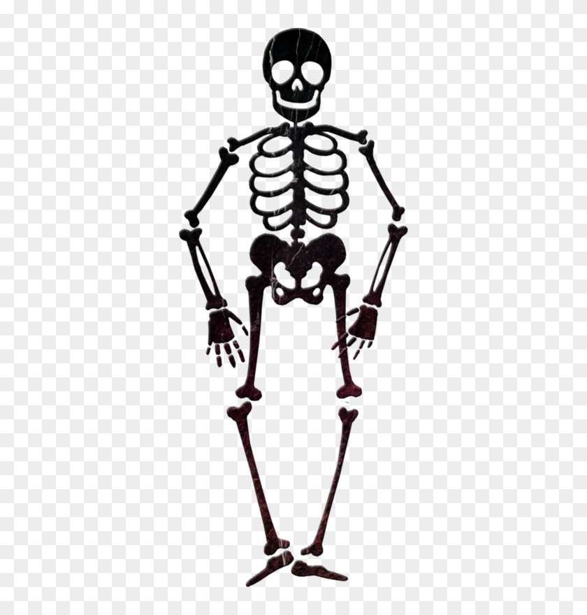 Skeleton Clip Art - Skeleton Clip Art.