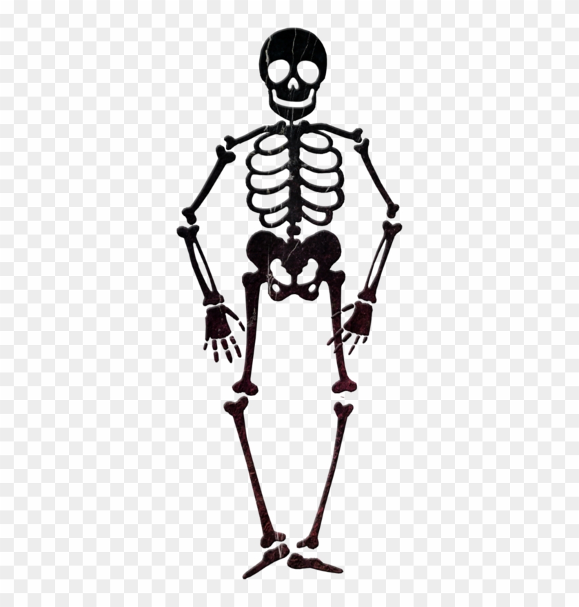 Skeleton Clip Art - Skeleton Clip Art #1179842