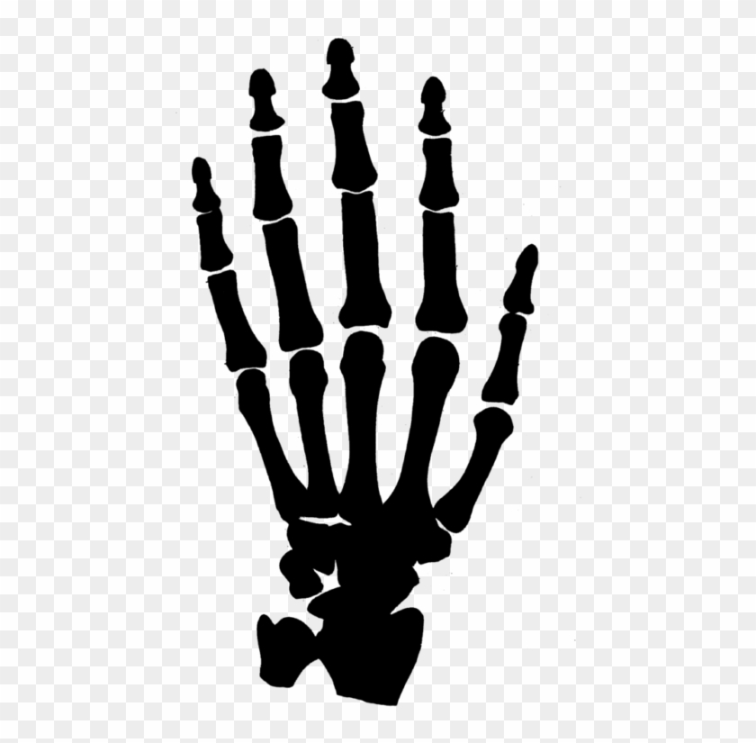 Free Skeleton Clipart Black And White Images Free Download - Skeleton Hand No Background #1179858