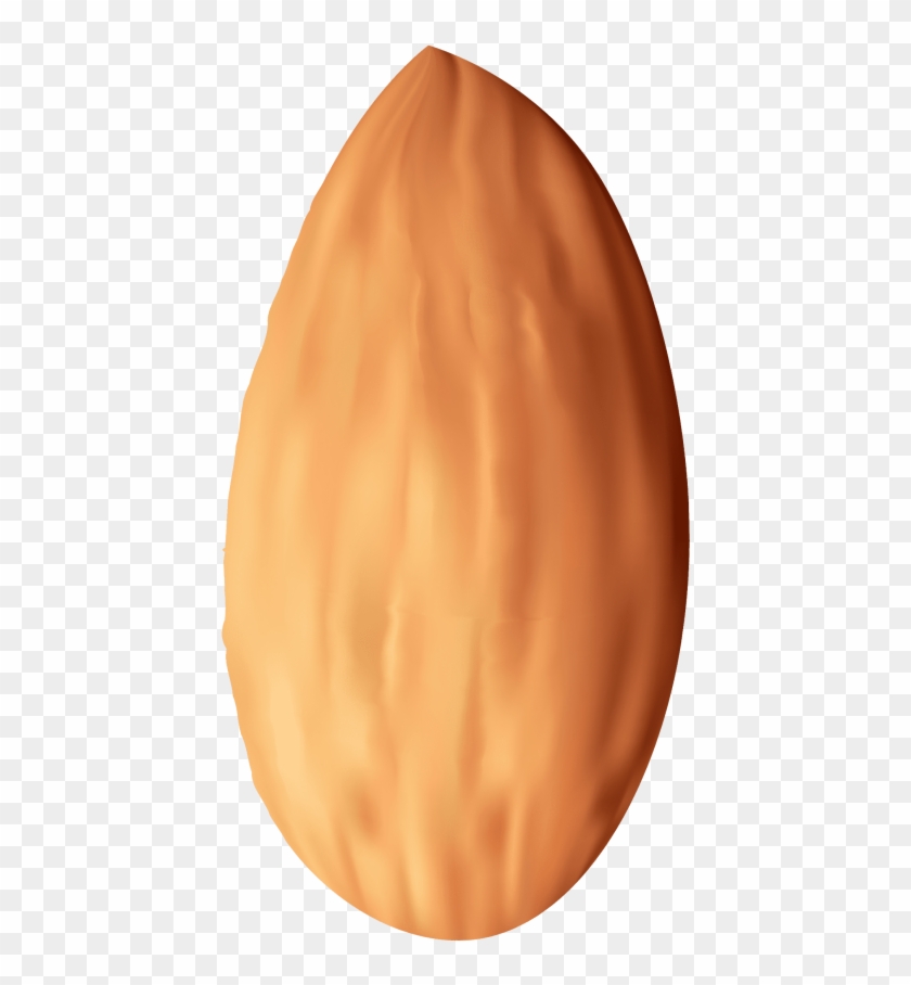 Free Png Almond Nut Png Images Transparent - Clip Art #1179892