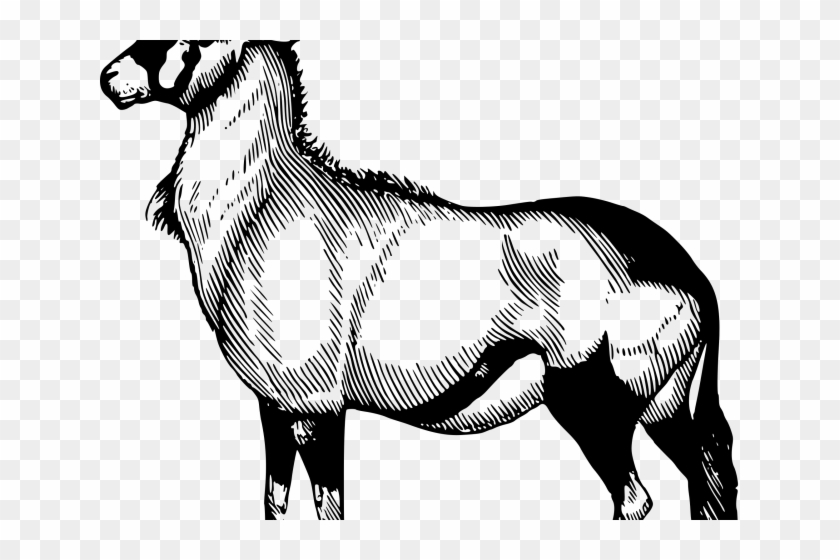 Oryx Clipart South Africa - Oryx Drawing #1180119