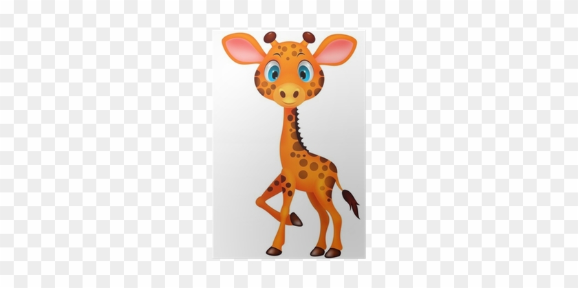 Baby Giraffe #1180129