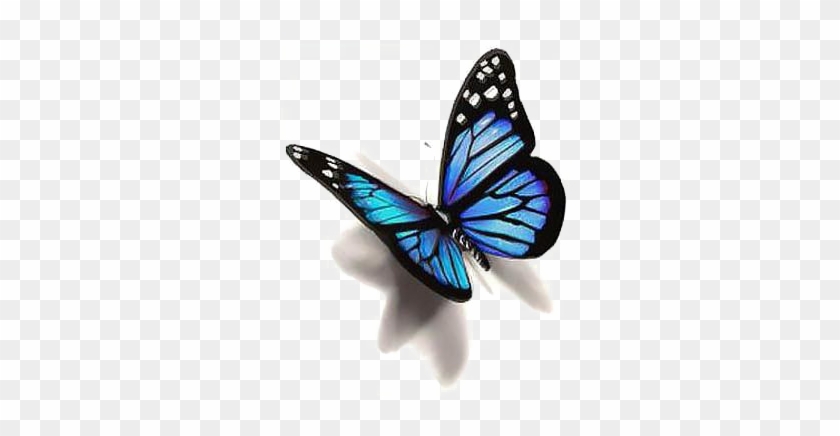 Blue Butterfly Png Photo - Butterfly Tattoo Design #1180167