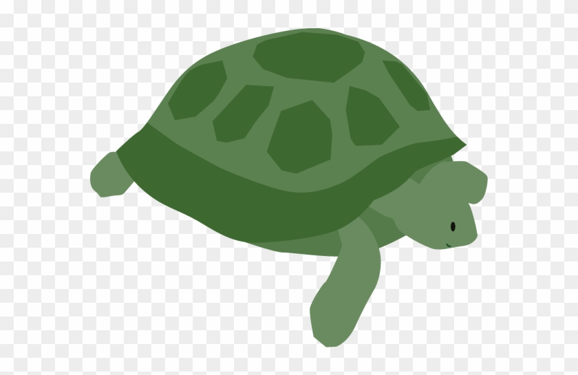 View All Images-1 - Tortoise #1180234