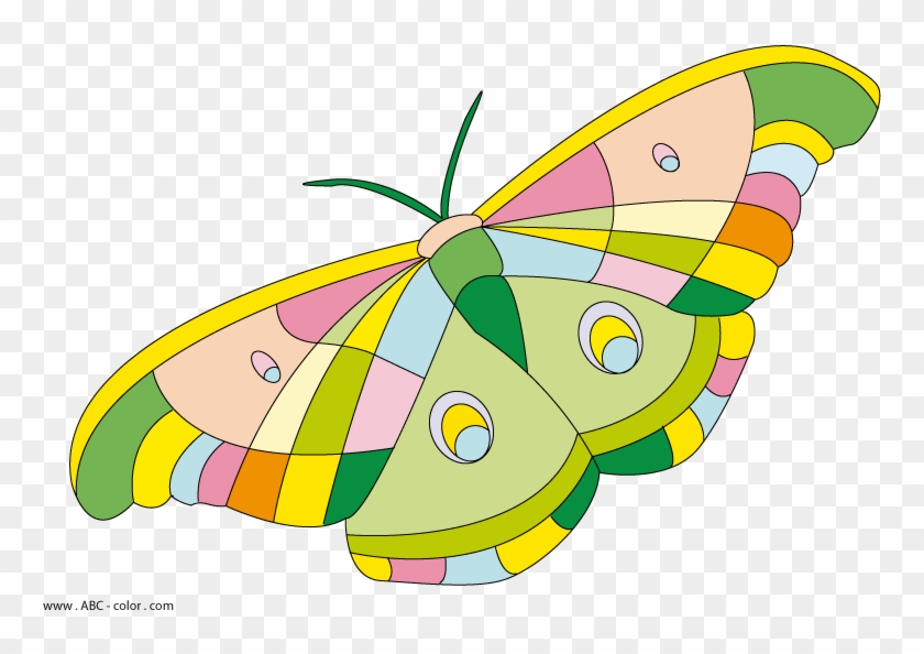 Butterfly Raster Clipart - Метелик На Прозорому Фоні #1180404