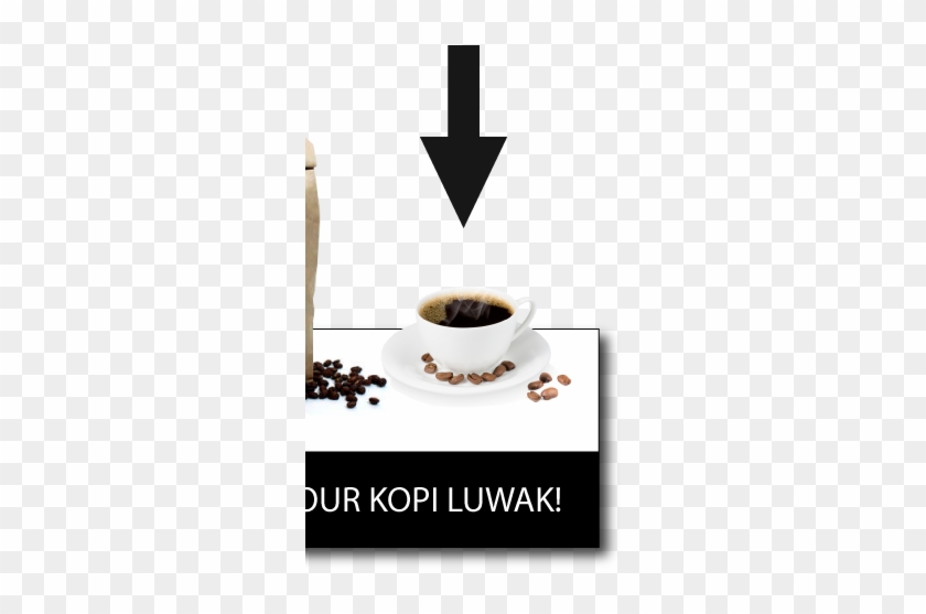 Kopi Luwak Production Step - Kopi Luwak #1180421
