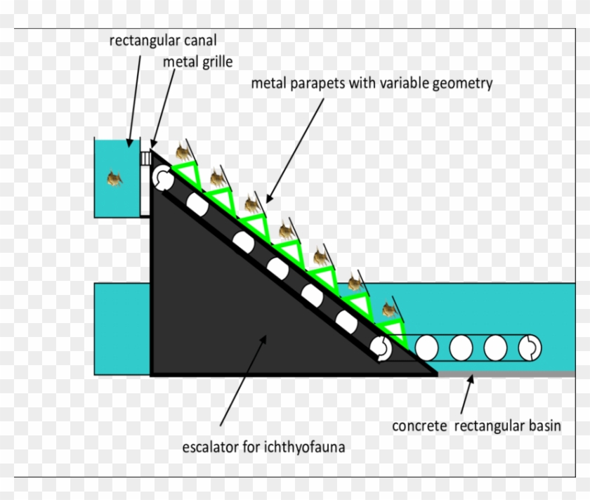 Positioning The Escalator -indicative Scheme - Diagram #1180458