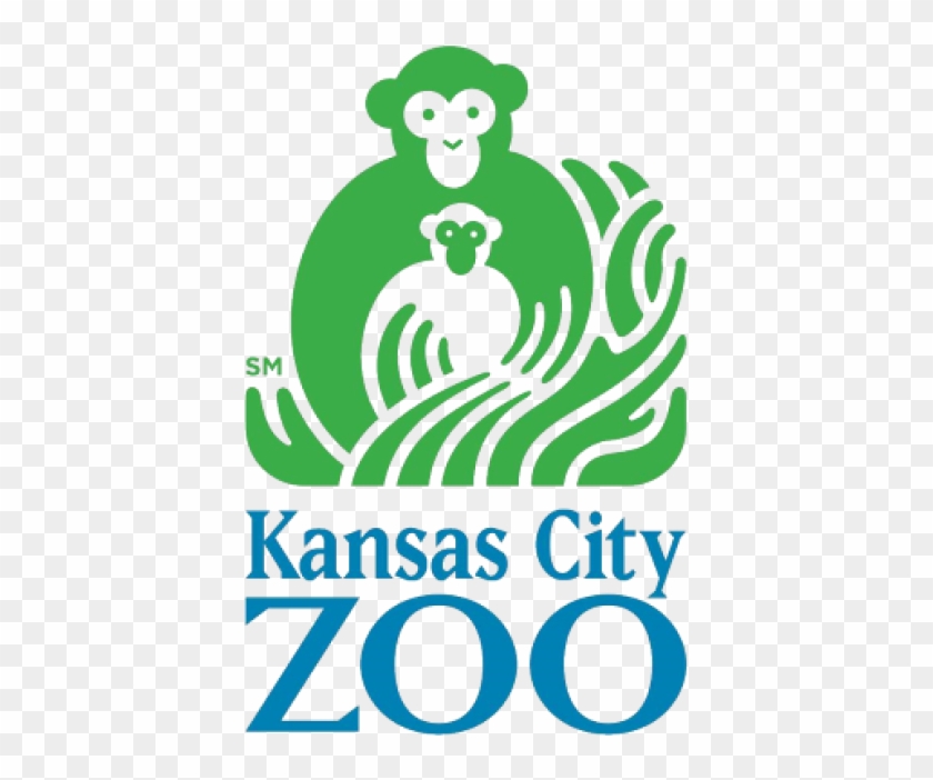 Visit Website - Kansas City Zoo Baby Orangutan #1180496