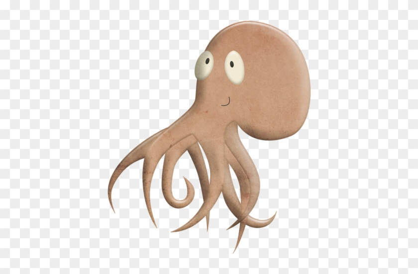 Album - Octopus #1180569