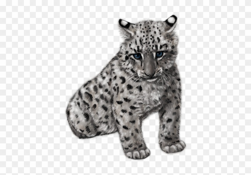 Cute Snow Leopard By Silvercrossfox-d6fsw1b - Baby Snow Leopard Transparent #1180697