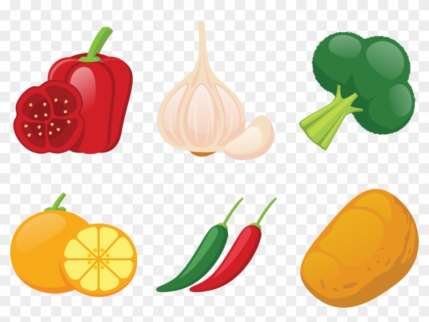 Bell Pepper Winter Squash Vegetable Illustration - Bell Pepper Winter Squash Vegetable Illustration #1180734