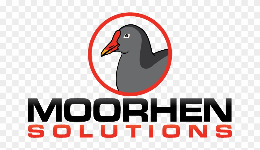 Clip Art Moorhen Images Gallery - Common Gallinule #1180767